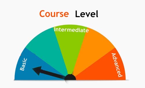 Course Levels Basic