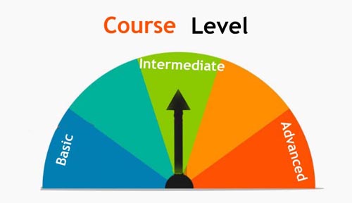 Course Levels Intermediate